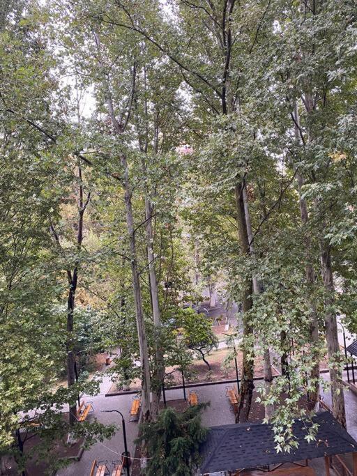 Nice Apartment Soghanlughi Zewnętrze zdjęcie